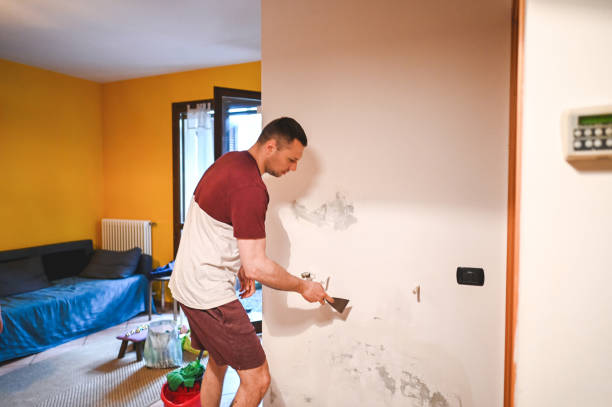 Best Post-Flood Mold Remediation in Cienegas Terrace, TX