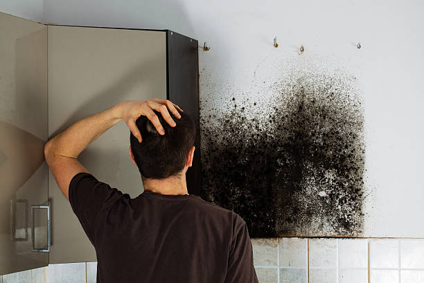 Best Crawl Space Mold Remediation in Cienegas Terrace, TX