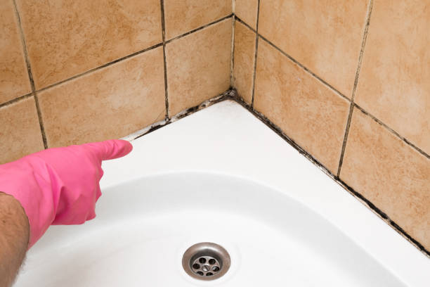 Best Residential Mold Remediation in Cienegas Terrace, TX